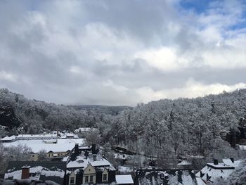 Trees and buildings against sky during winter