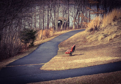 Woman walking on road amidst bare trees during autumn