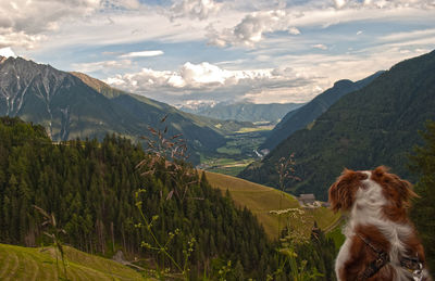 Dog looking at mountain range against sky