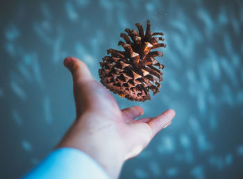 Close-up of hand throwing pine cone in water