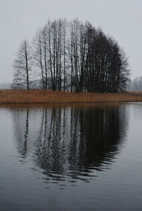 Reflection of trees in lake