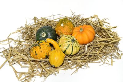 Close-up of pumpkins against white background