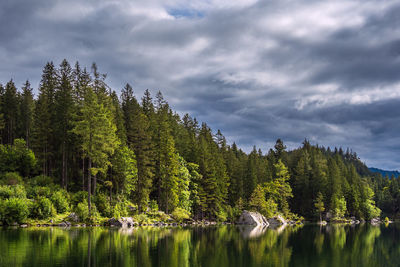 Scenic view of lake in forest against sky