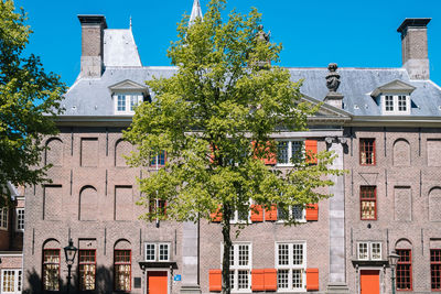 Low angle view of trees and buildings against sky