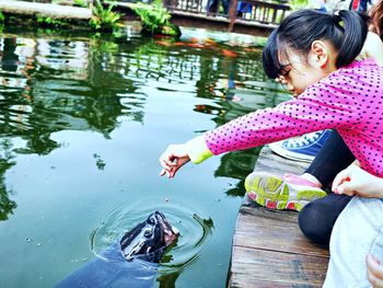 Girl feeding fish in pond