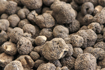 Full frame shot of black truffles at market for sale