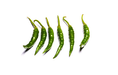 Close-up of green chili pepper against white background