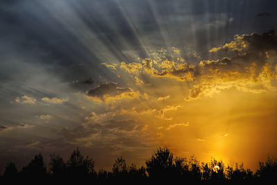 Silhouette of trees against cloudy sky