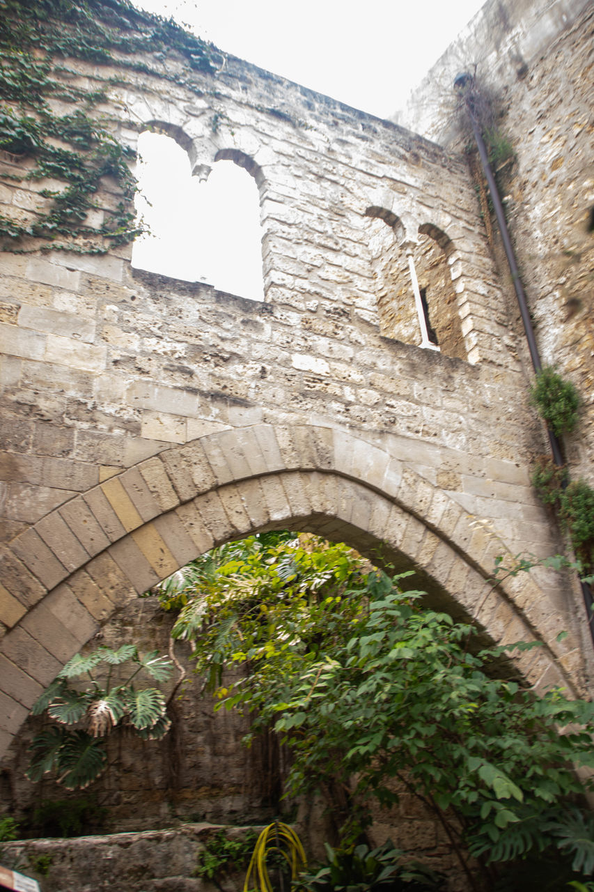 architecture, built structure, arch, history, the past, building exterior, no people, nature, plant, ruins, old, day, low angle view, wall, travel destinations, building, tree, wall - building feature, outdoors, ancient, ancient history, travel, old ruin, sky, tourism