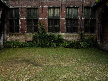 View of built structure with plants in foreground