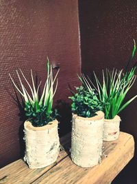 Close-up of potted plant on table