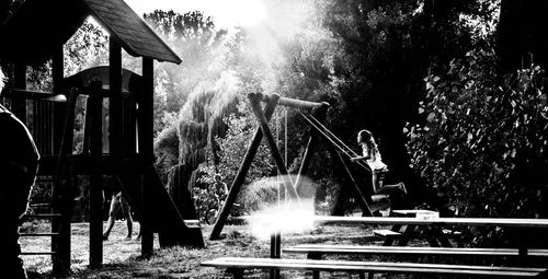 Sunlight streaming through trees in park