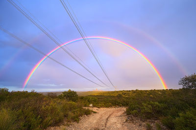 Scenic view of rainbow over field against sky