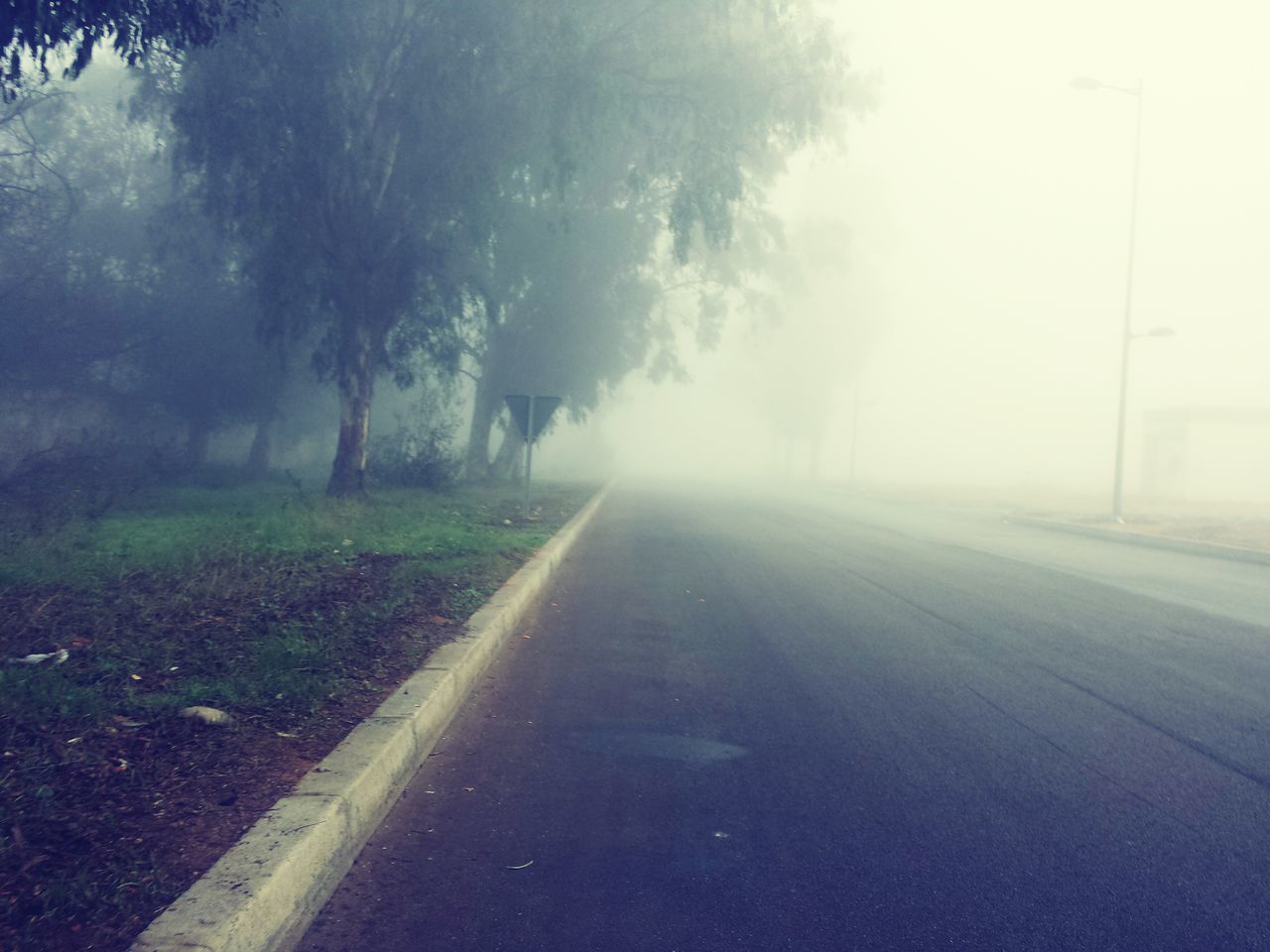 the way forward, transportation, diminishing perspective, road, vanishing point, fog, tree, weather, country road, empty road, foggy, nature, tranquility, street, sky, empty, tranquil scene, road marking, outdoors, day