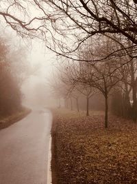 Road amidst bare trees during winter