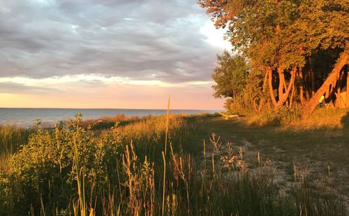 Scenic view of landscape against sky during sunset