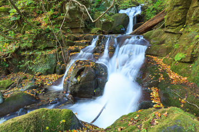 Waterfall in forest