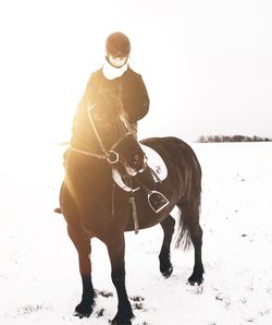 Man riding horse standing on sand