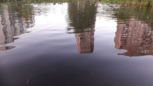 Reflection of trees in lake