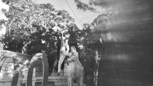 Panoramic view of people looking at tree