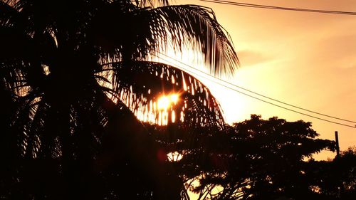 Low angle view of silhouette trees against sky