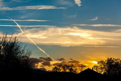 Silhouette of trees at sunset