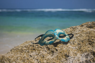 Close-up of turtle on beach