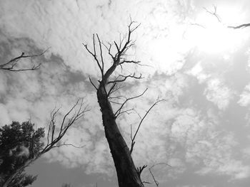 Low angle view of bare tree against cloudy sky