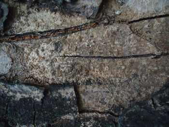 Full frame shot of weathered wall