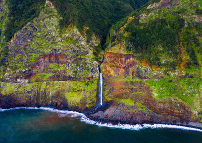 Scenic view of waterfall in forest