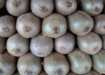 Full frame shot of kiwi fruits