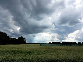 Scenic view of agricultural field against sky