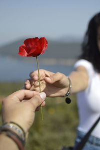 Close-up of hand holding red rose