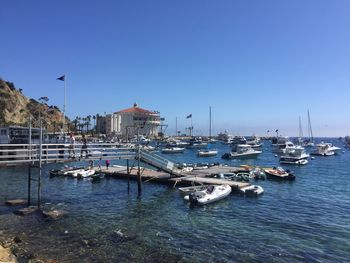 Boats moored at harbor
