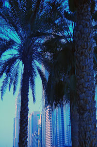 Low angle view of trees against blue sky