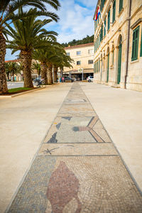 Surface level of palm trees and buildings in city