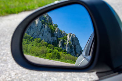 Reflection of trees on side-view mirror