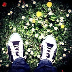 Directly above shot of woman standing on grassy field