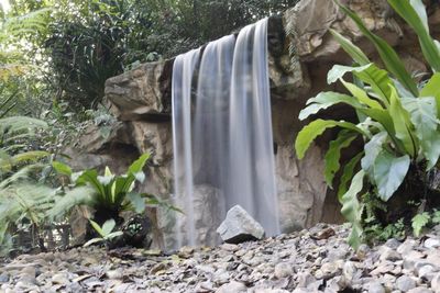 Close-up of waterfall in forest