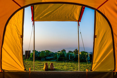 Scenic view of field seen through tent