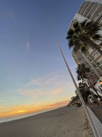 Palm trees on beach against sky during sunset