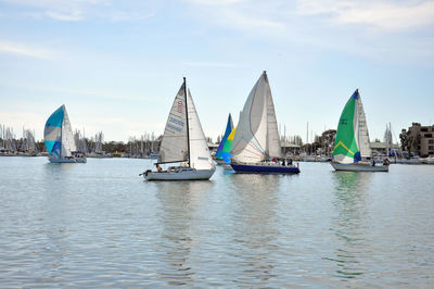 Sailboats sailing in sea against sky