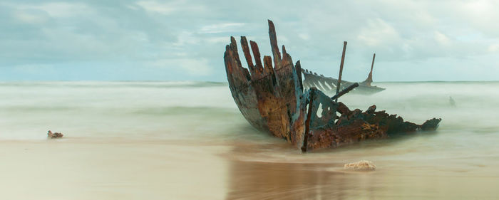 Driftwood on beach against sky