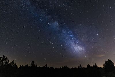 Low angle view of silhouette trees against sky at night