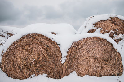 Snow covered field against sky