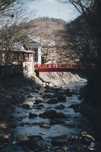 Bridge over river amidst buildings and trees during winter