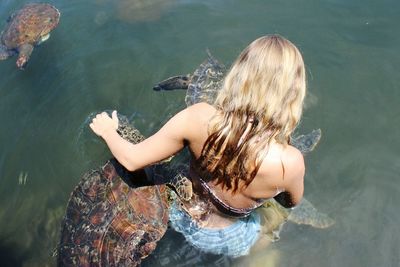 Woman in sea with turtles