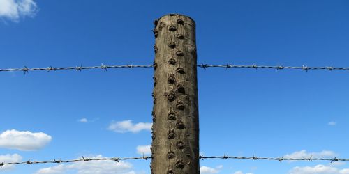 Low angle view of barbed wire against blue sky