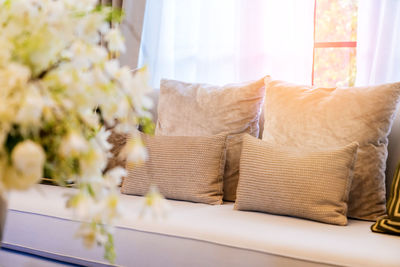 Close-up of potted plant on sofa at home