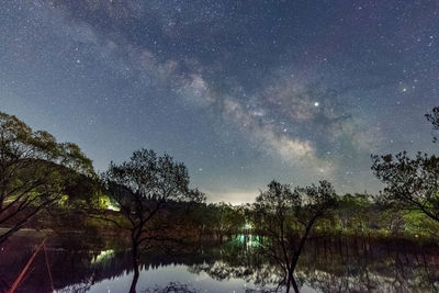 Trees by lake against sky at night